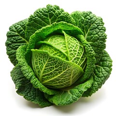Fototapeta premium A vibrant, fresh savoy cabbage, a symbol of healthy eating and natural goodness, showcased against a stark white background.