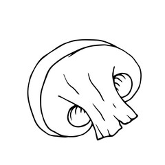 Line sketch,contour of forest mushroom champignon.Vector graphics.