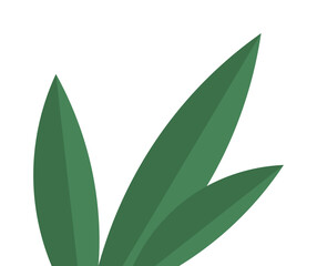 Obraz premium Depiction of three green plant leaves with sharp edges and different angles. Ideal for nature, botanical, minimalist designs, eco-friendly spaces, and interior decor themes. Simple geometric style