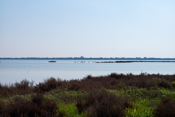 view of the river in the summer