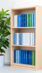 Color-coded books neatly arranged on a light wood bookshelf beside a potted plant