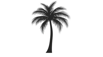 Fototapeta premium Silhouette of a Palm Tree Isolated on Transparent Background