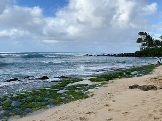Sandy beach and waves coming to the beach in Hawaii 