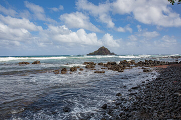 View of the beach and the rock in the sea Hawaii