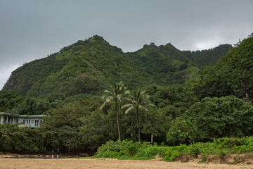 Lush mountain landscape with beach and dense forest
