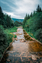 Fototapeta premium A river flowing down from the mountains, along which there is a dense coniferous forest and rocks.