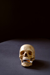 Artificial realistic human skull smoking a cigarette Copy space. Dark background