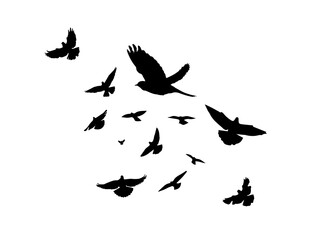 Flying birds silhouette flock. hand drawing. Not AI. Vector illustration.
