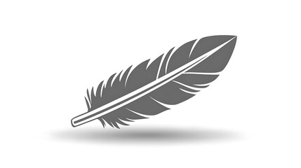 Obraz premium A single grey feather displayed in the foreground on white