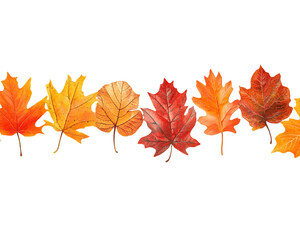 Fototapeta premium Autumn leaves in shades of red, orange, and yellow, arranged in a horizontal row on a transparent background, PNG