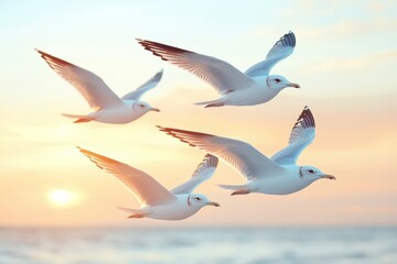 Seagulls soar in the evening sky above a tranquil beach during sunset