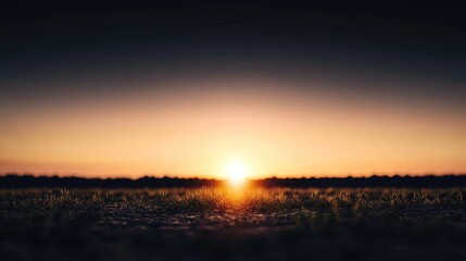 Fototapeta premium Golden Sunset over Field