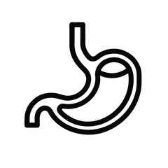 vector illustration of stomach 