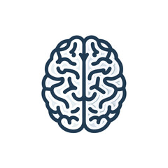 human brain isolated on white