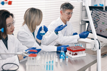 Scientists working with computer and samples at table in laboratory