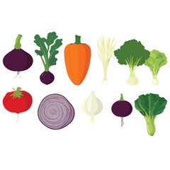 food, fresh, diet, organic, healthy, background, vegetable, green, garden, health, vegetarian, tomato, vegetables, farm, natural, nutrition, carrot, ingredient, agriculture, vegan, harvest, vitamin, f