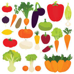 food, fresh, diet, organic, healthy, background, vegetable, green, garden, health, vegetarian, tomato, vegetables, farm, natural, nutrition, carrot, ingredient, agriculture, vegan, harvest, vitamin, f