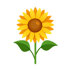 sunflower isolated on transferring background, a sun flower on png