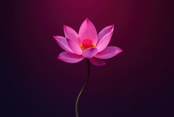 Obraz premium Single pink lotus flower on a dark purple background. Perfect for spa, wellness, or meditation themes.