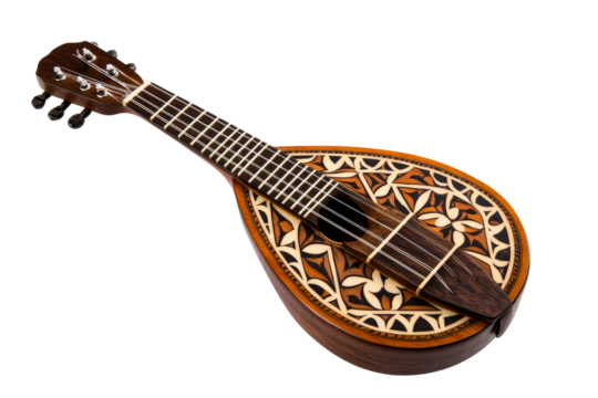 Beautifully crafted mandolin with intricate floral design