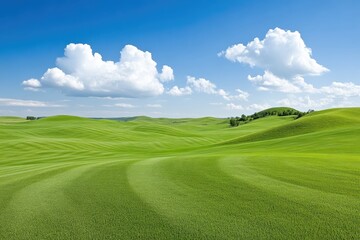 Obraz premium Lush Green Hills Under a Clear Blue Sky