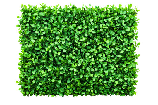 Lush green artificial leaves wall panel for decoration and events