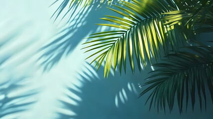Fototapeta premium Palm Tree Leaves with Sunlight Projection on Light Blue Wall