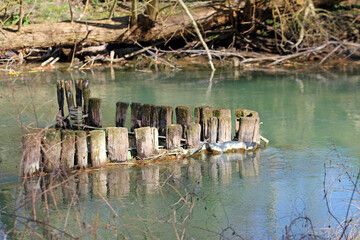 canoe slalom course on the Pader