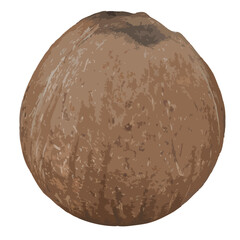 Fototapeta premium Coconut illustration