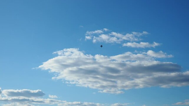 Gentle white clouds drift lazily through a brilliant blue sky, bringing serenity to a peaceful afternoon. Nature beauty unfolds in a serene atmosphere. Real time, slow motion sky