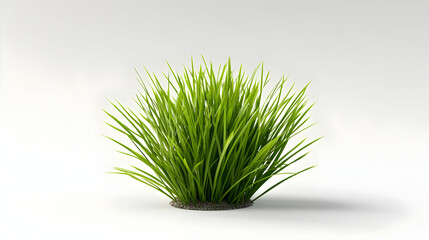 3D Rendered Lush Green Grass Isolated On White