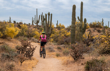 Woman Riding Mountain Bike Desert Trail During Spring Time In Arizona