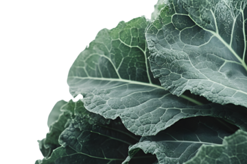 Closeup of lush green leafy vegetable texture perfect for food health and nature themes
