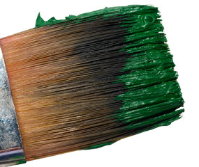 Brush with green oil paint on isolated background, bristles