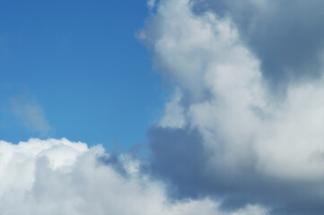 Obraz premium umulus Cloud Coverage on Soft Blue Sky – Tranquil and Airy Scene Perfect for Sky-Themed Graphics, Digital Art, or Print Projects