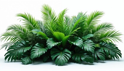 Tropical foliage features monstera, palm leaves isolated on white background. Green leaves composition evokes nature summer vibes, rainforest freshness. Botanical design element with exotic flora