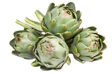 Obraz premium Fresh Artichokes Close Up Still Life Photography Culinary Vegetable