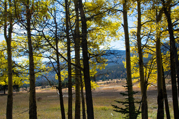 Mountain valley in autumn