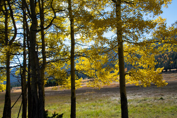 Mountain valley in autumn