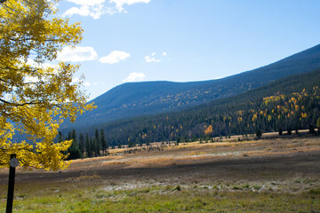 Mountain valley in autumn