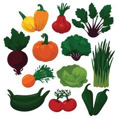food, fresh, diet, organic, background, healthy, vegetable, green, ingredient, vegetables, vegetarian, natural, garden, tomato, vegan, nutrition, health, agriculture, carrot, fruit, farm, vitamin, bro