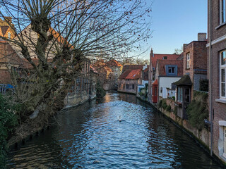 Obraz premium Panoramic view of a canal in Bruges, Belgium, with historic houses and a swan swimming