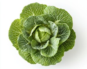 A fresh, vibrant green cabbage with intricate leaf patterns, showcasing its natural beauty and crisp texture.