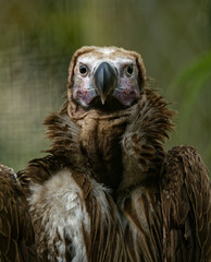 Peeking into your soul