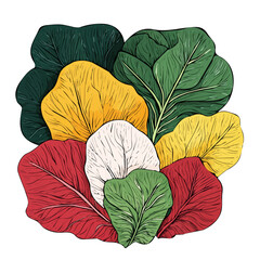 Hand-drawn painting of colorful Collard Greens branch flower. Trendy abstract minimal style. Natural fresh. Vector illustration isolated on white background, vector illustration, Eps