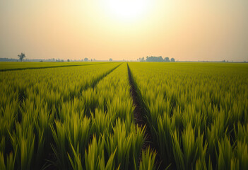 Bright green rice paddies thrive under a clear sky, showcasing neat rows that extend to the horizon in a tranquil environment.