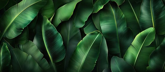 Beautiful arrangement of overlapping green leaves creating a natural texture