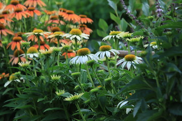 Bunte Sonnenh&uuml;te 