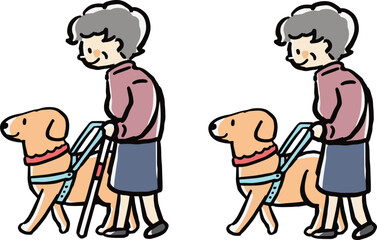 盲導犬を連れて散歩する女性の高齢者のイラストセット(白杖あり、なし)