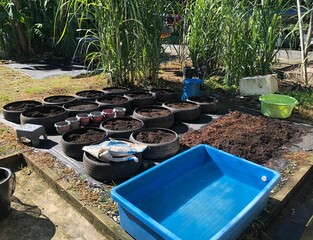 A home garden with organic soil being prepared, compost fertilizer applied, old tires used as planting containers, home gardening hobby, sustainable farming concept
